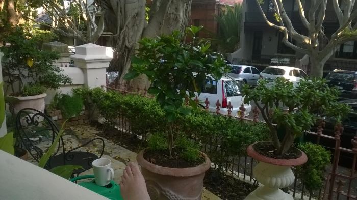 The front garden/courtyard at Paddington